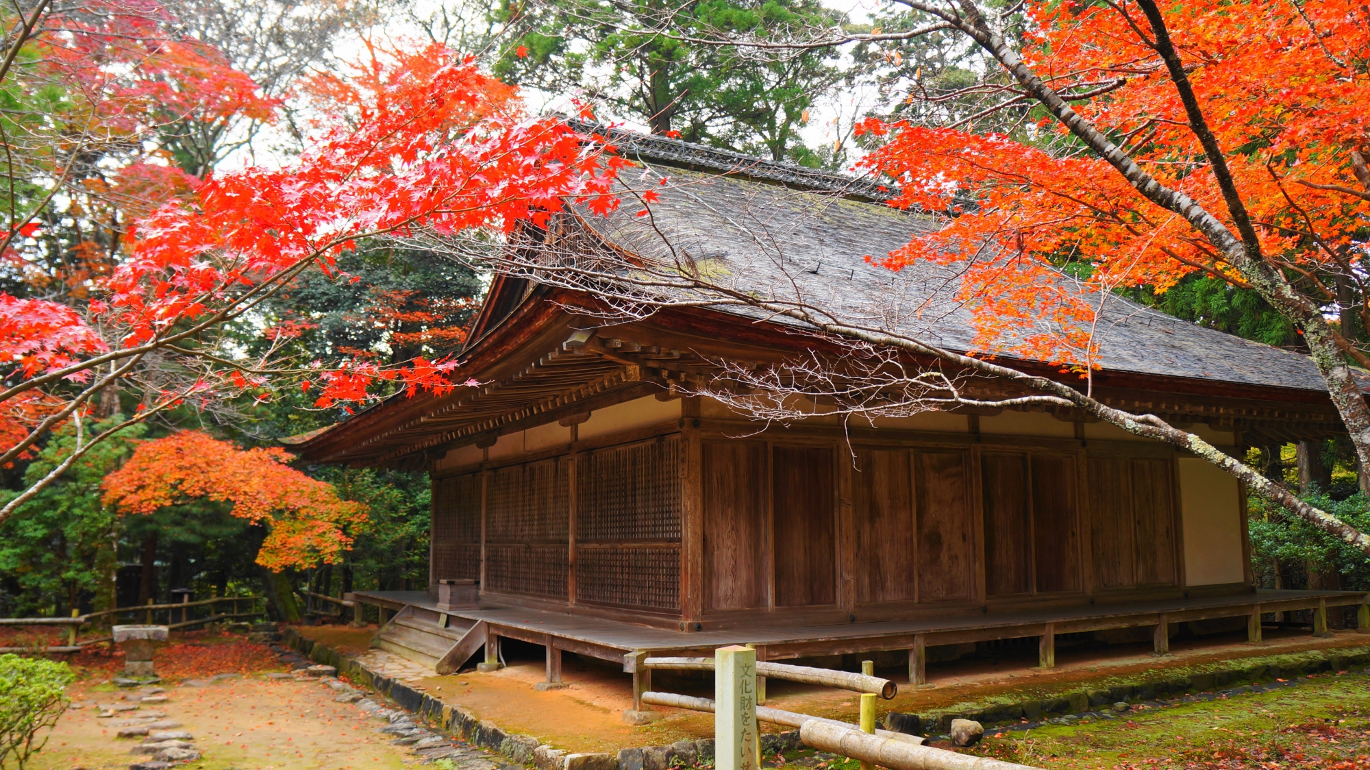 淡い秋色の紅葉に染まる神護寺の大師堂
