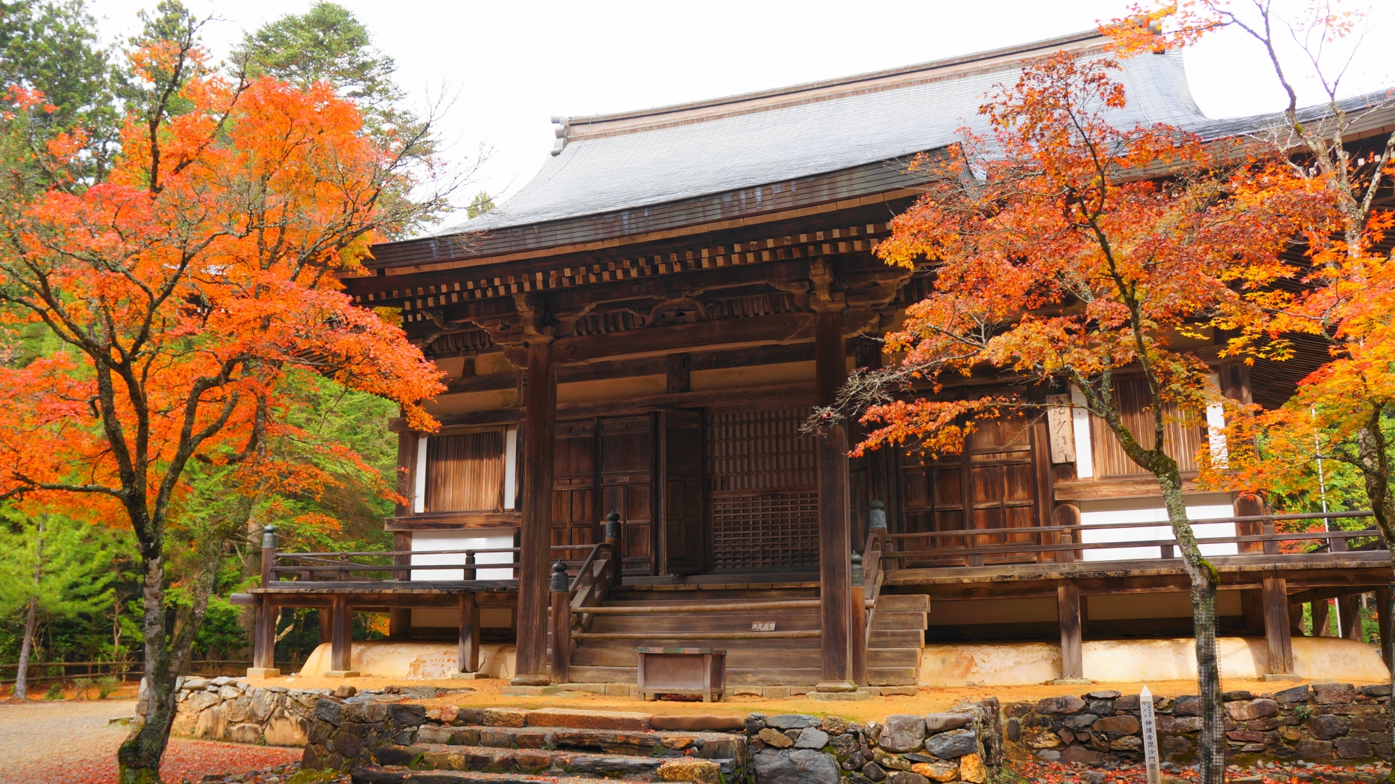 優しげな紅葉につつまれる神護寺の毘沙門堂