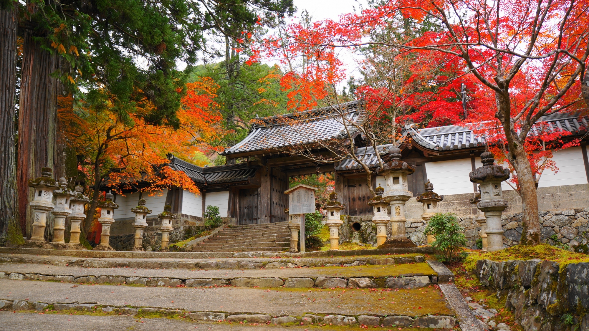 表門と紅葉の西明寺の絵になる秋の風景