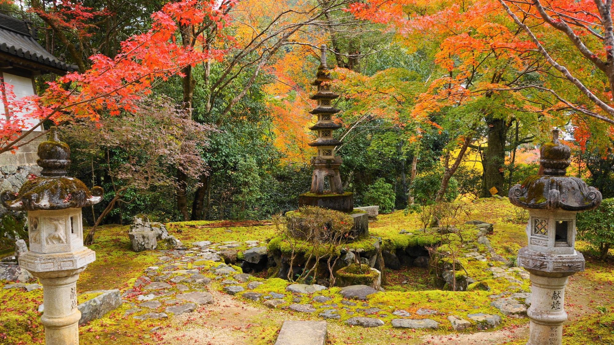 自然溢れる西明寺の情緒ある秋の彩り