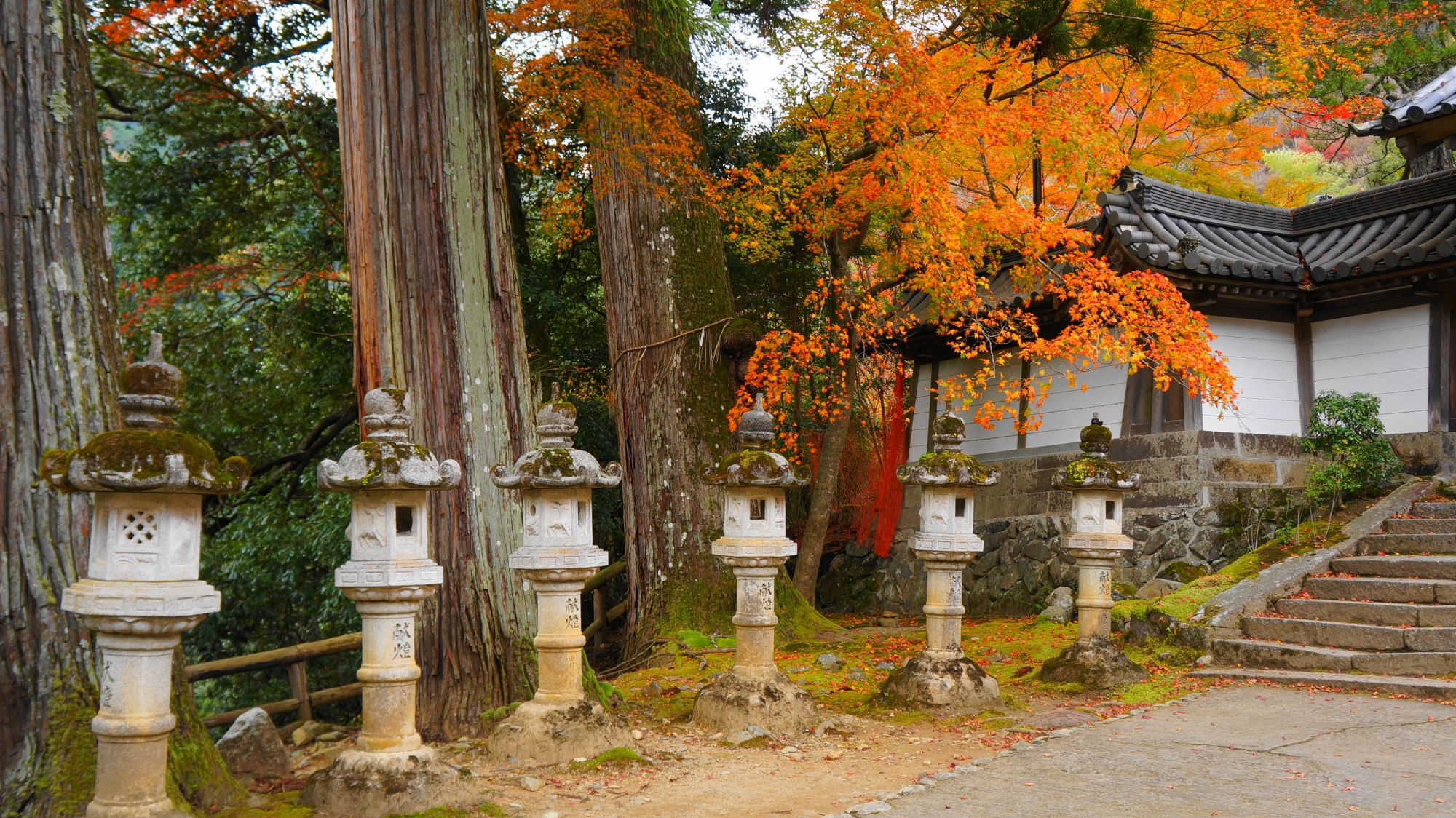 西明寺の表門前の立ち並ぶ灯籠に降り注ぐ紅葉