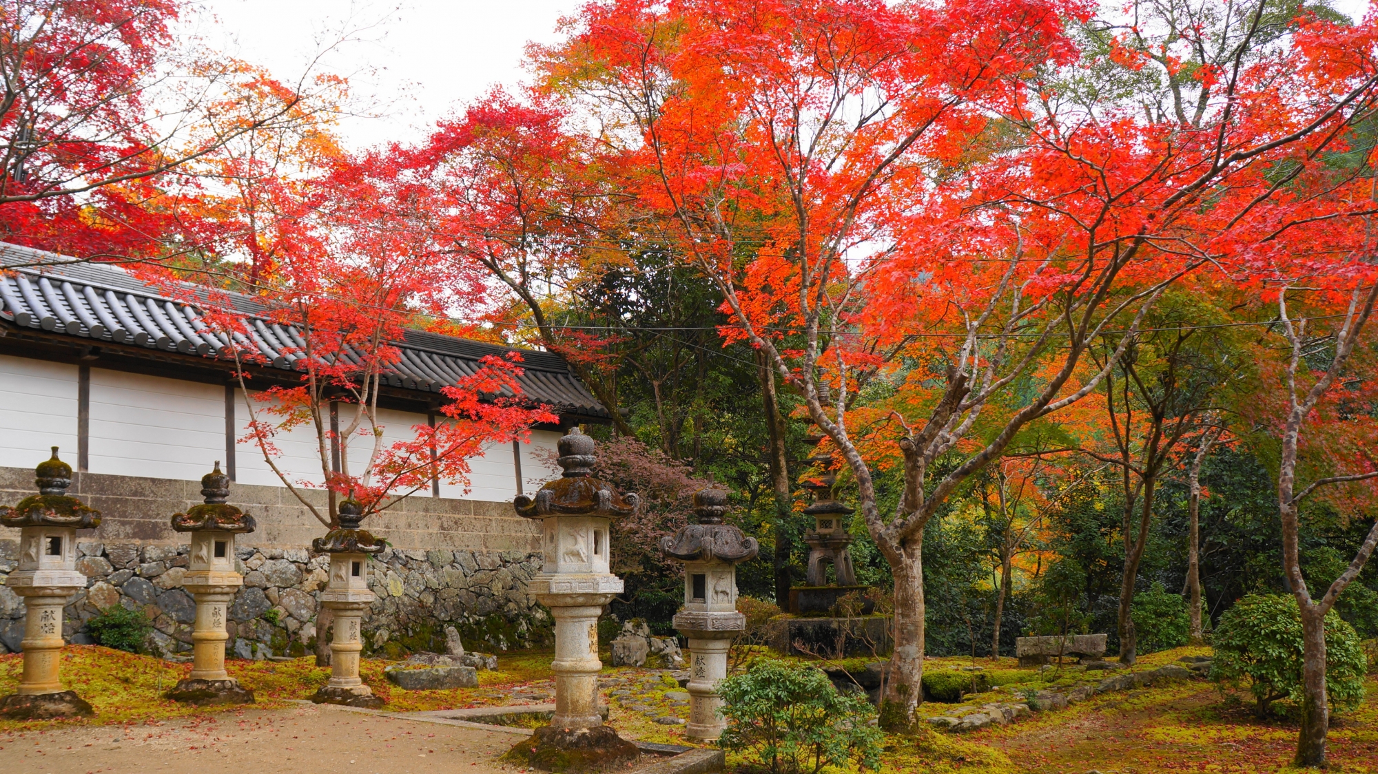 灯籠や表門を秋色に染める鮮やかな紅葉