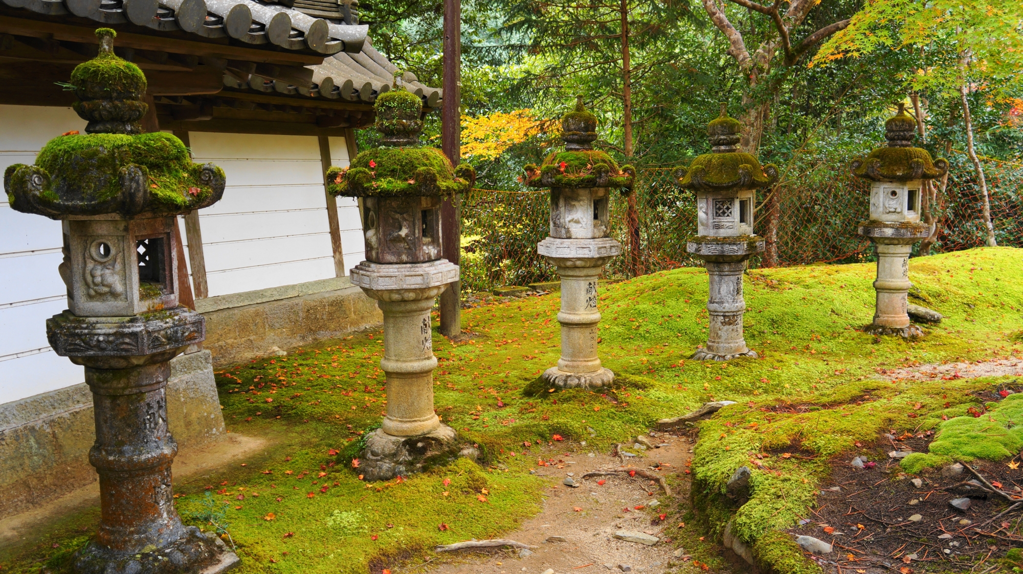 苔や灯籠などの西明寺の趣きある秋の境内