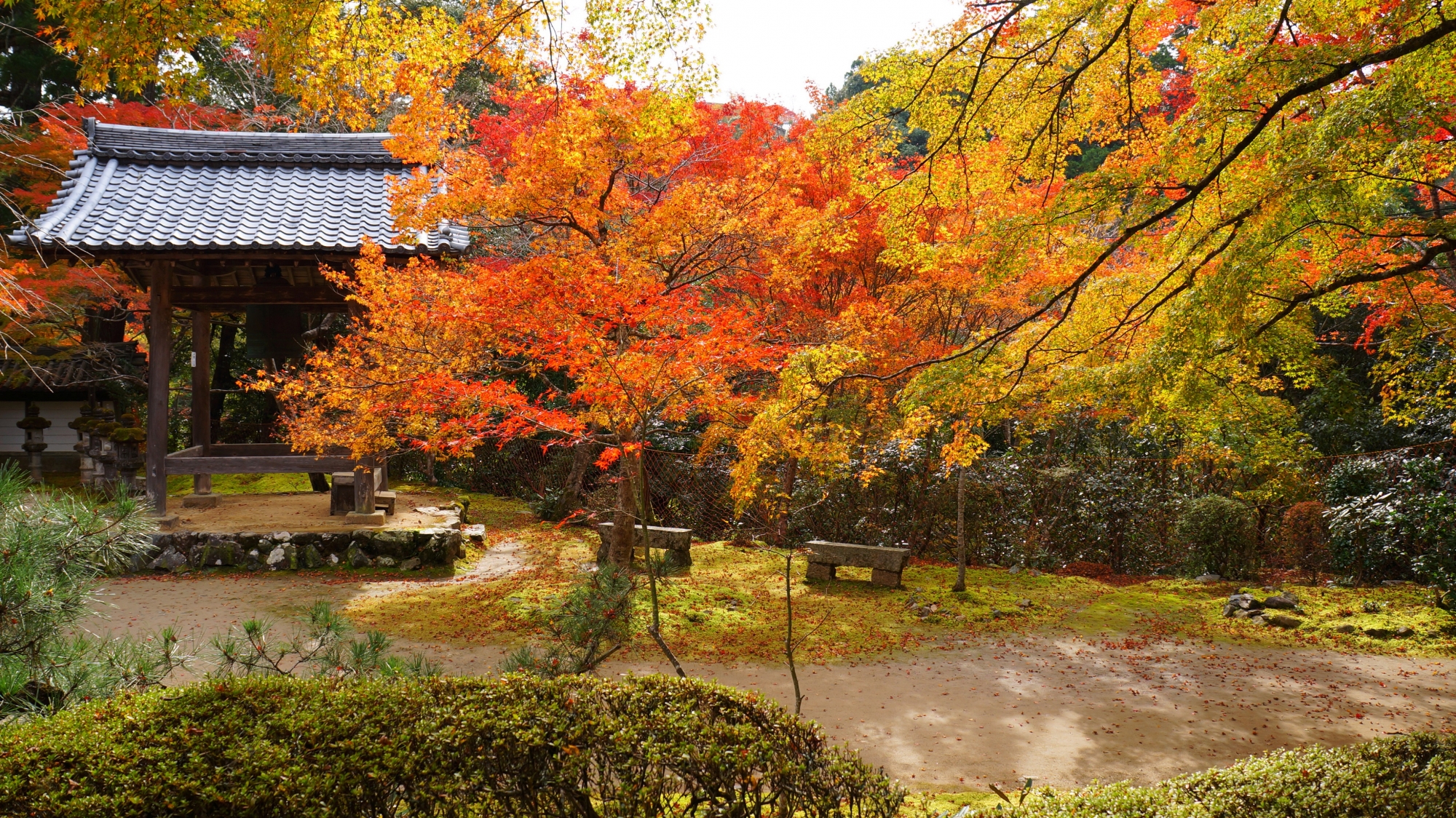 西明寺の鐘楼と色とりどりの紅葉