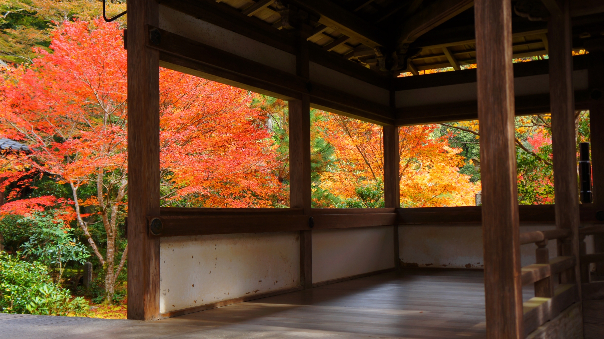 西明寺方丈の回廊から見える華やかで多彩な紅葉