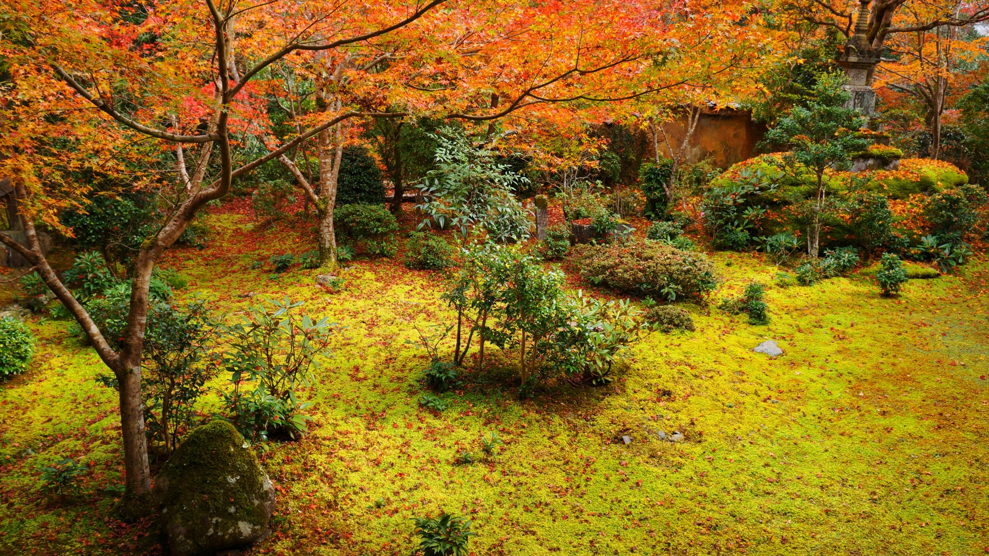 高画質 西明寺 方丈庭園 紅葉 写真