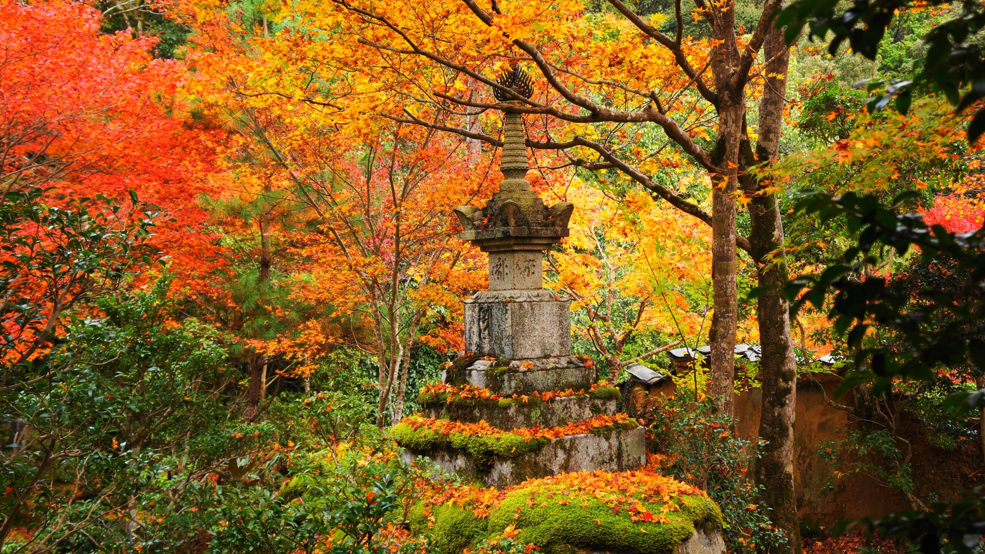 苔の生した岩や石塔を華やぐ色とりどりの紅葉や散りもみじ
