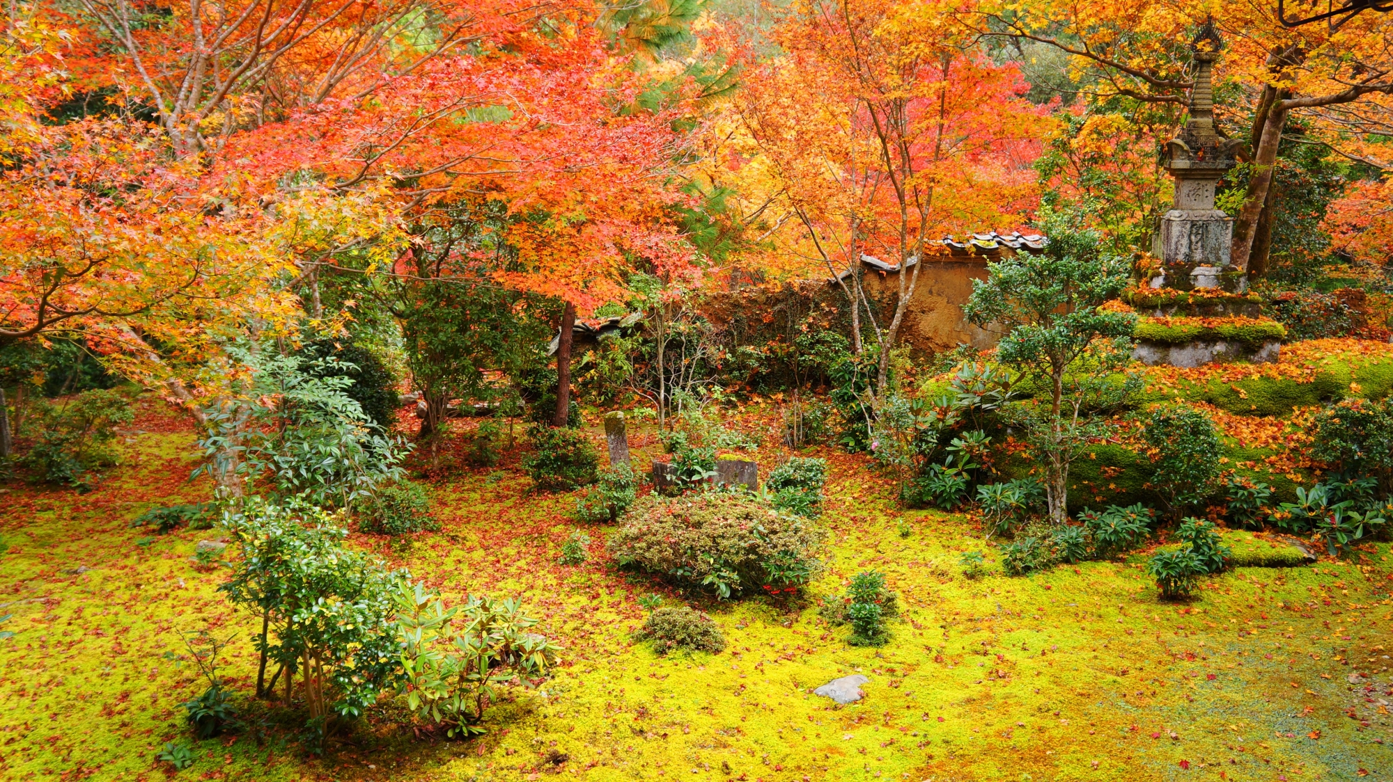 西明寺の素晴らしい紅葉や散りもみじと秋色の情景