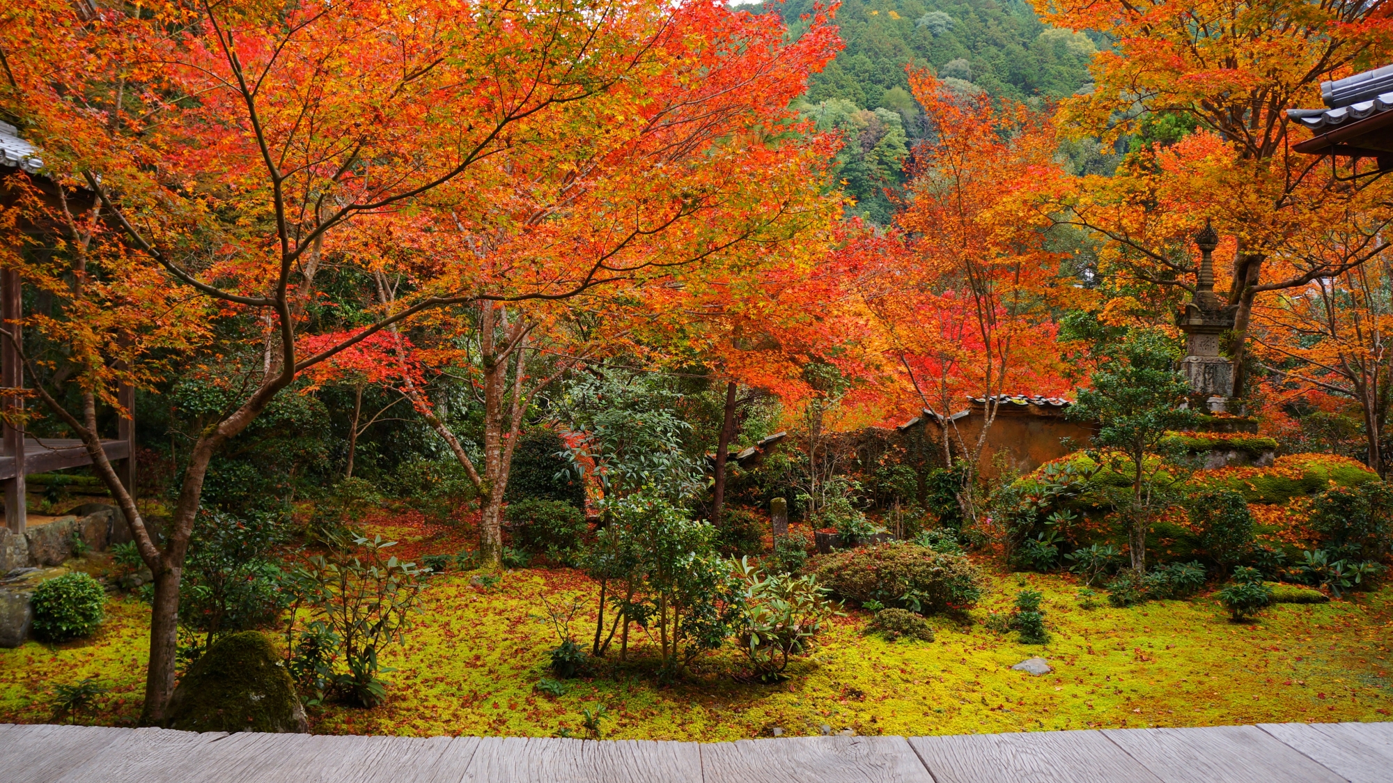 隠れ家のような紅葉に彩られた西明寺の絶品の方丈庭園