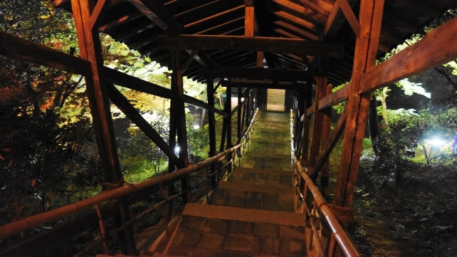 京都高台寺の臥龍廊のライトアップ