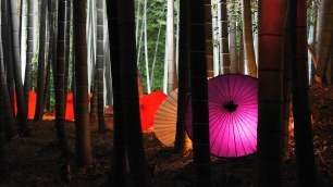 高台寺の竹林の優美な和傘のライトアップ