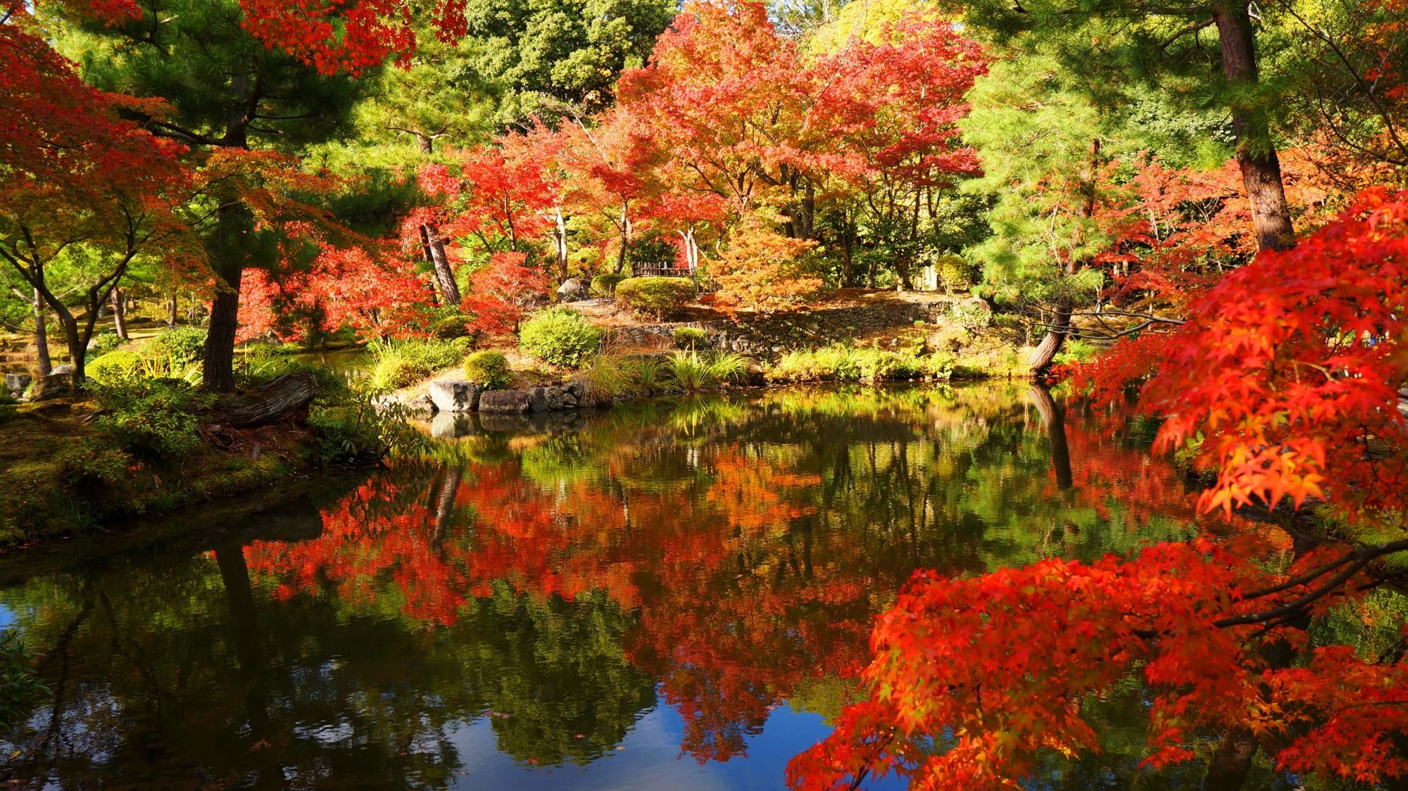 水辺を彩る煌く紅葉と鮮やかな水鏡