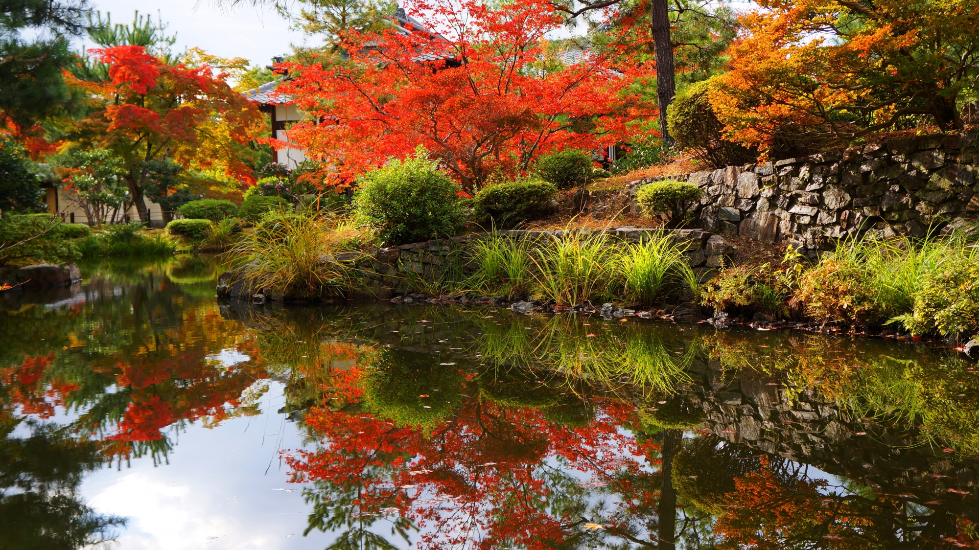 赤や緑などの色とりどりの秋を映し出す心字池