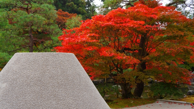 見ごろの紅葉につつまれた銀閣寺の向月台