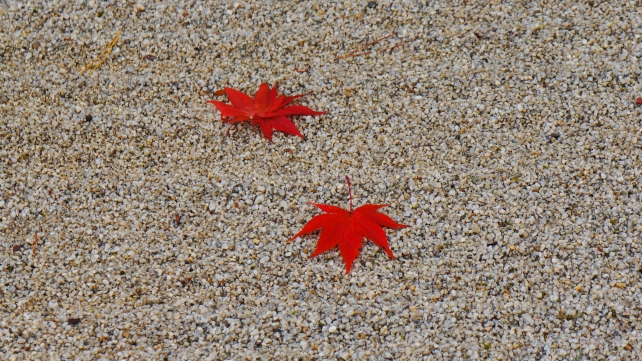 銀閣寺の銀沙灘と散り綺麗な紅葉