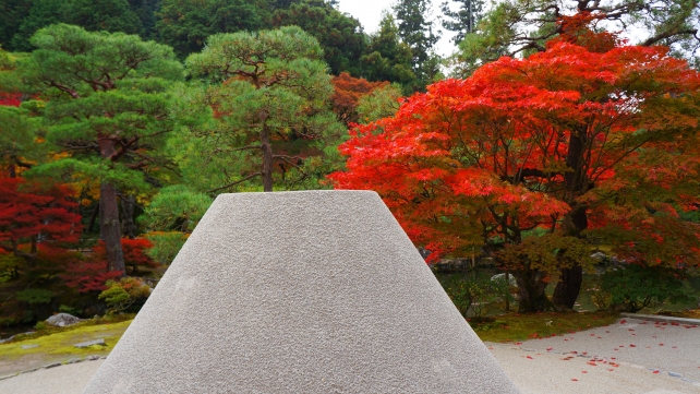 京都銀閣寺の向月台の見ごろの美しい紅葉