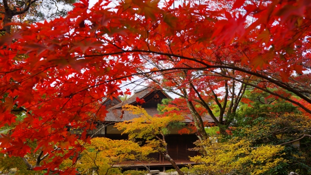 銀閣寺の東求堂と見ごろの紅葉