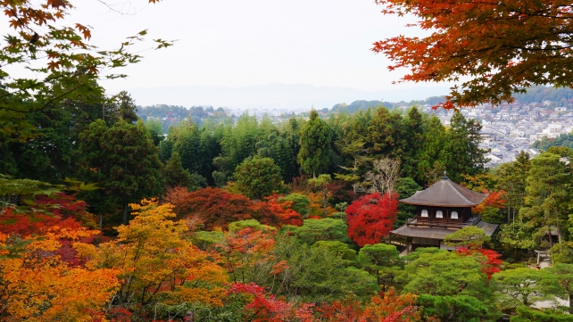 銀閣寺（慈照寺）の展望所から眺めた銀閣と見ごろの綺麗な紅葉