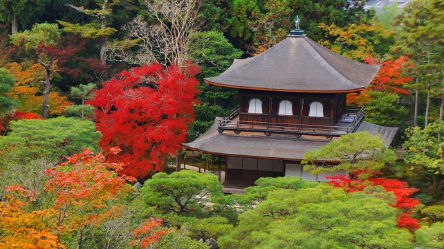 銀閣寺の展望所から眺めた銀閣と見ごろのわびさびの紅葉