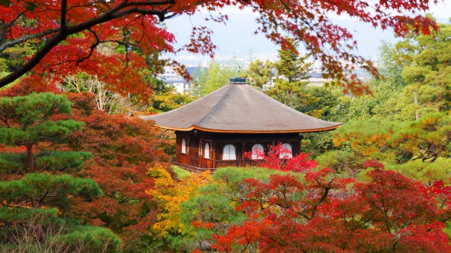 銀閣寺の展望所から眺めた銀閣と見ごろの美しい紅葉