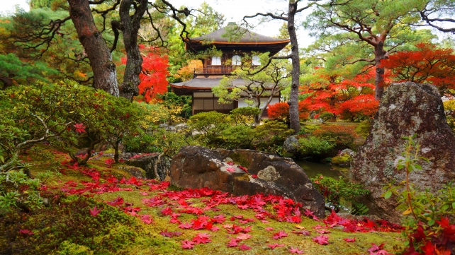 銀閣寺の銀閣と錦鏡池と紅葉と苔と散りもみじ