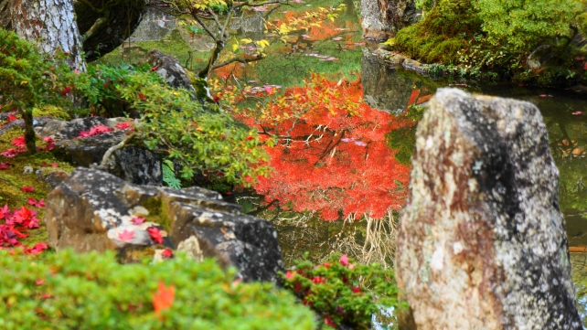 京都の紅葉の名所の銀閣寺の錦鏡池に映る赤い紅葉