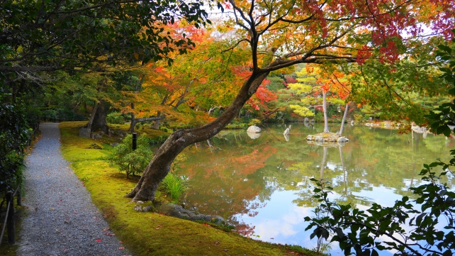 金閣寺の鏡湖池と見ごろの紅葉