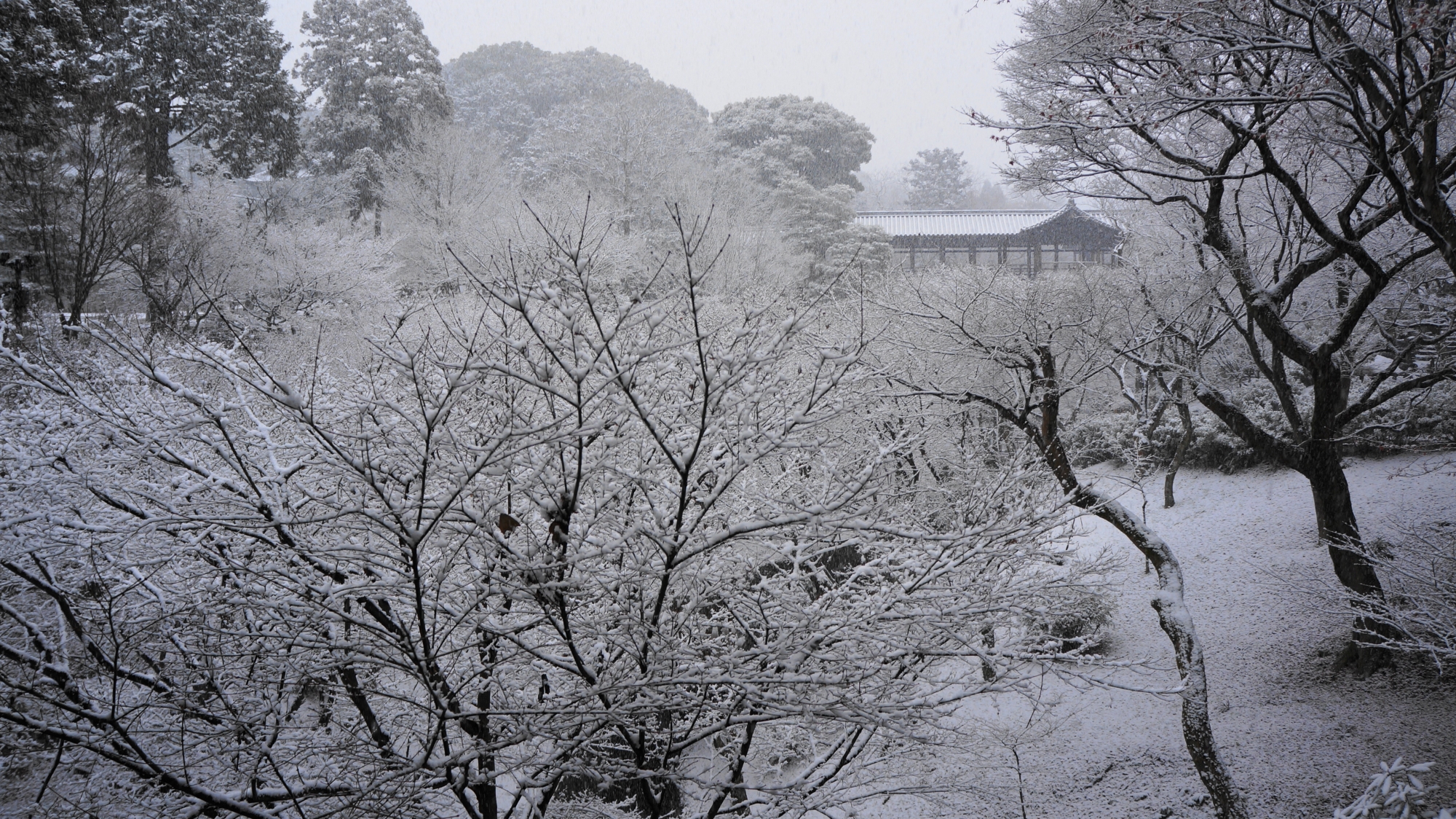 枝の先までびっしりと雪が積もった東福寺
