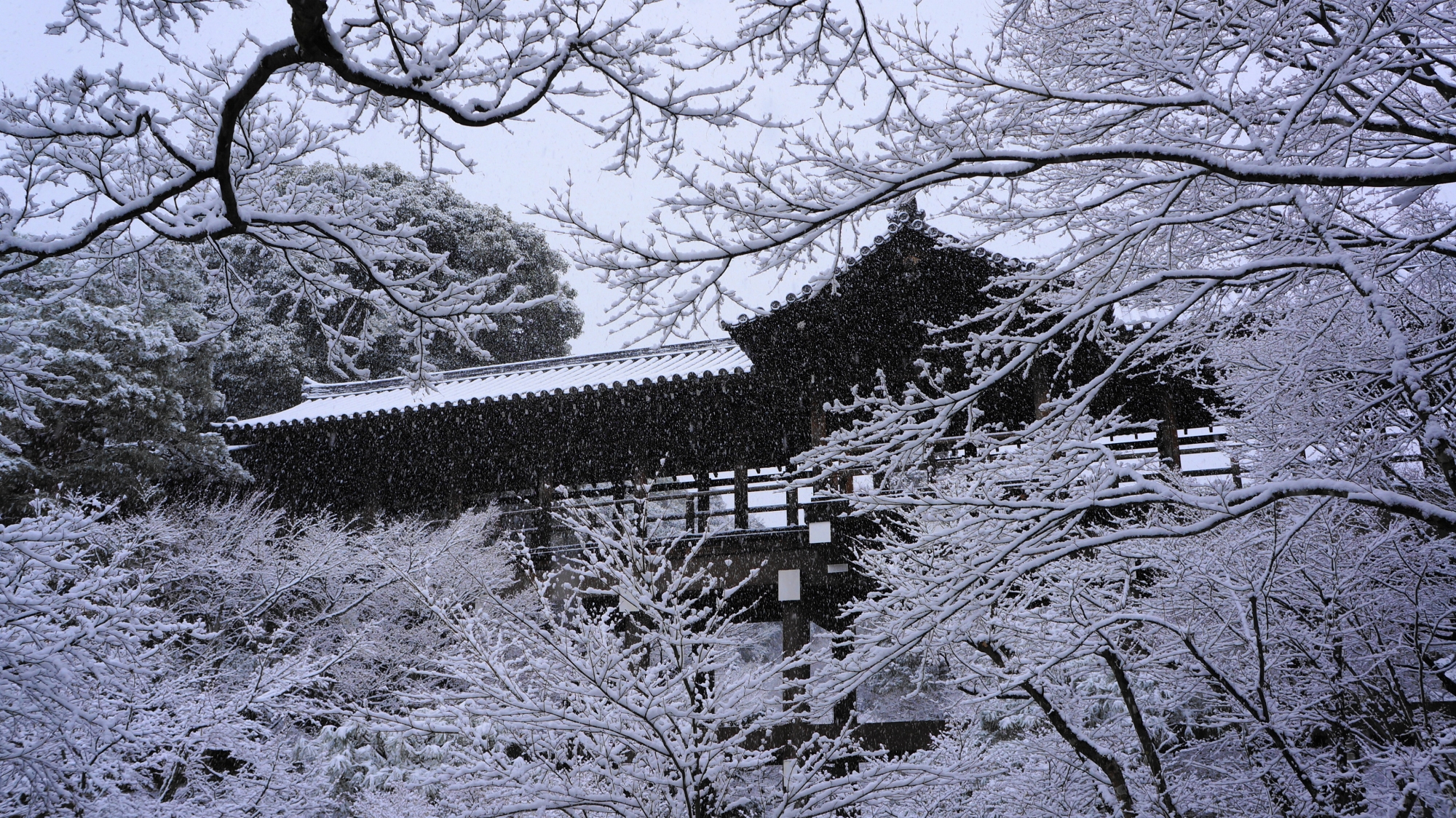 自然が作り出す雪の芸術と白い通天橋