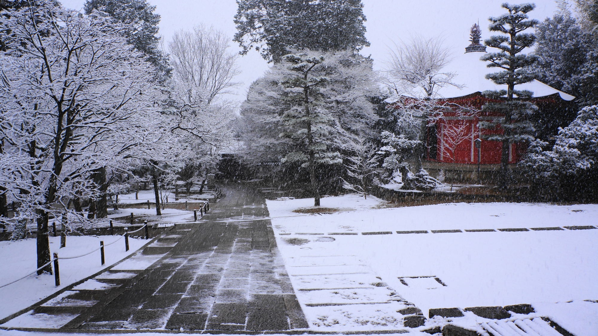 東福寺の愛染堂の雪景色