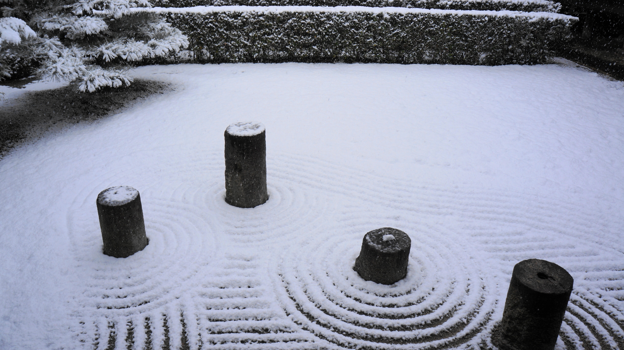 真っ白にそまった東福寺の方丈庭園