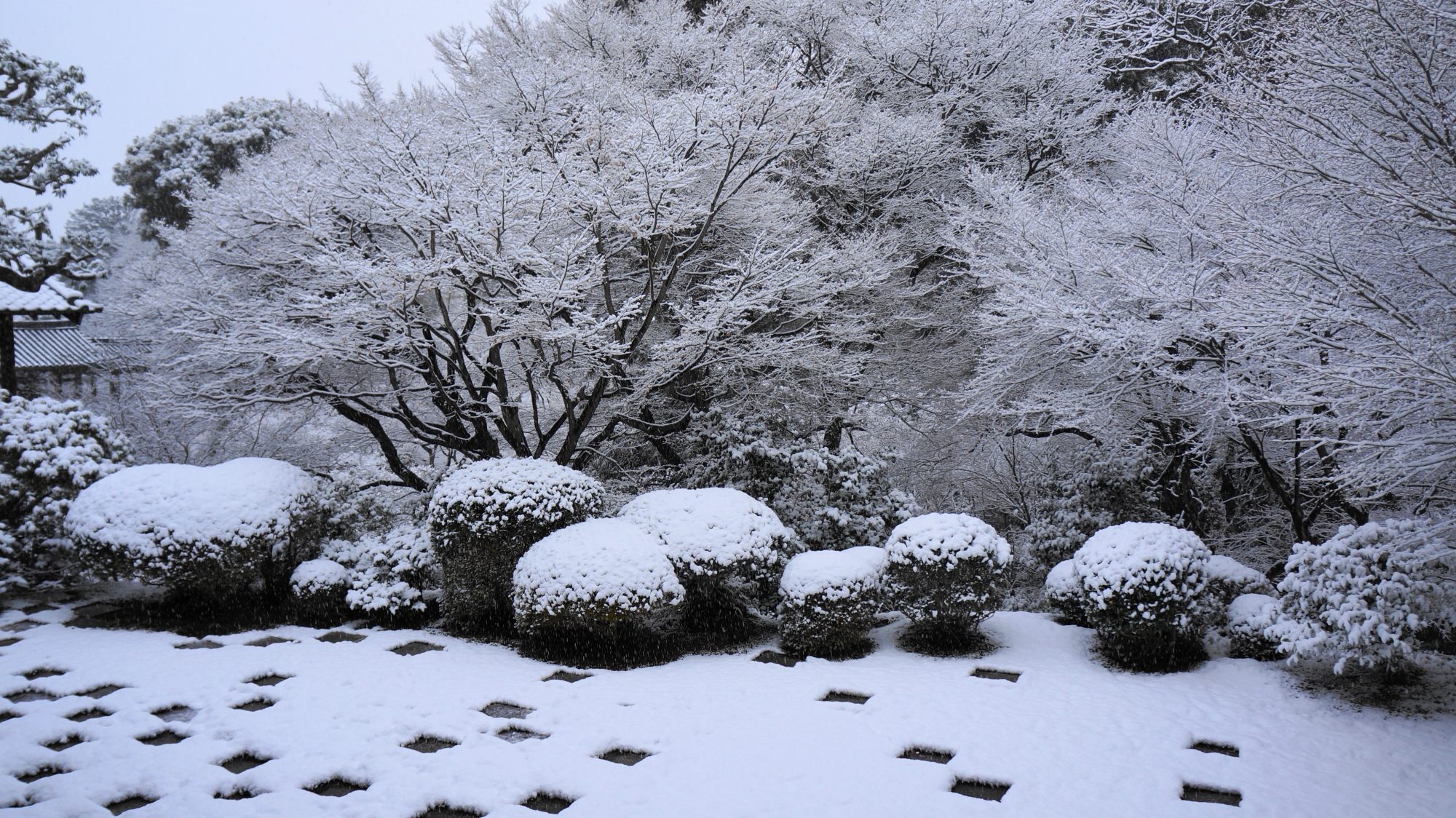 華やかで芸術的な雪の花が咲く東福寺方丈北庭