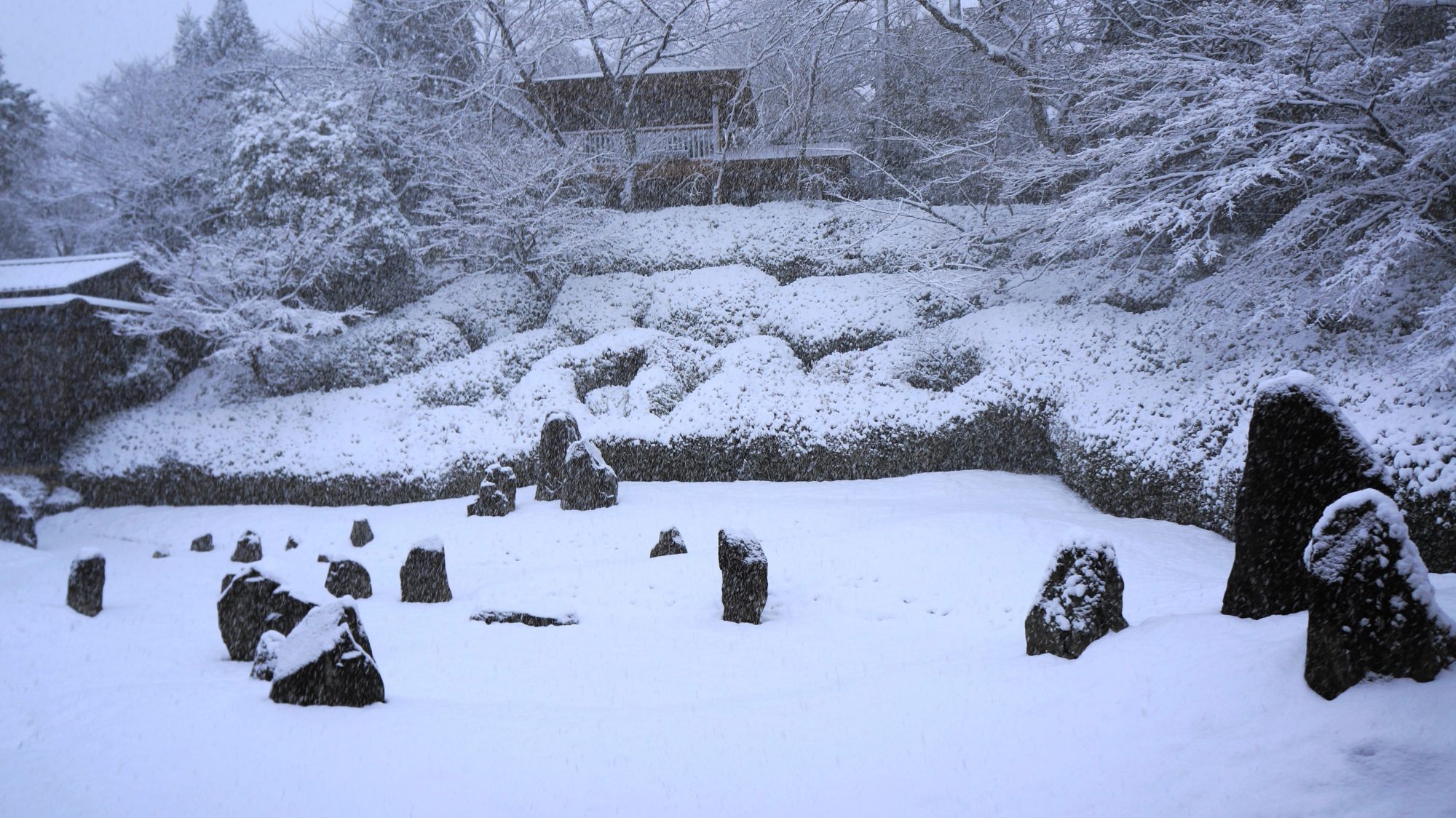 光明院の見事に雪化粧した日本庭園
