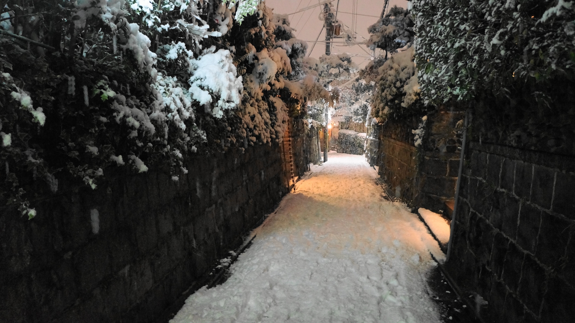 趣きある雪の空間と石塀に囲まれた雪の細道