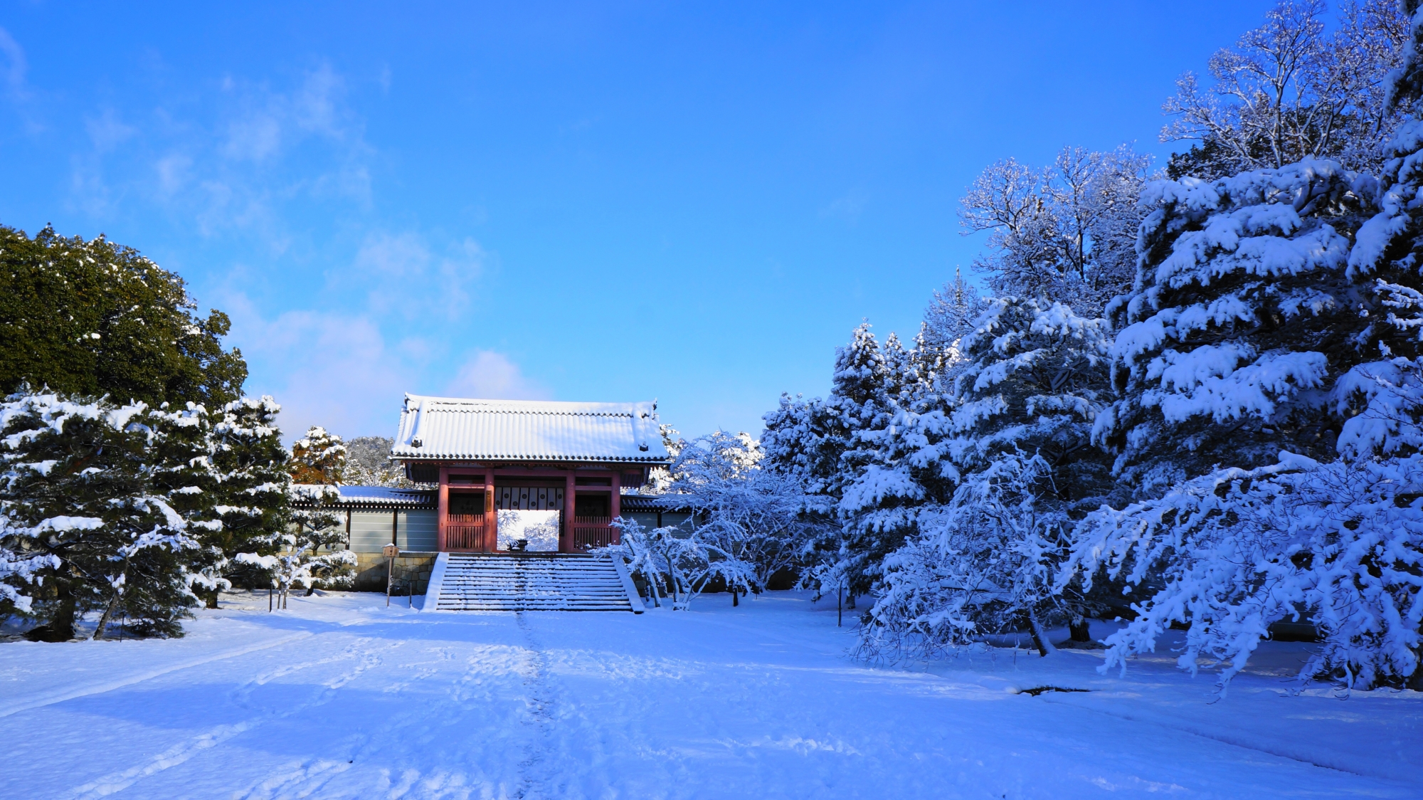 深い雪につつまれた仁和寺