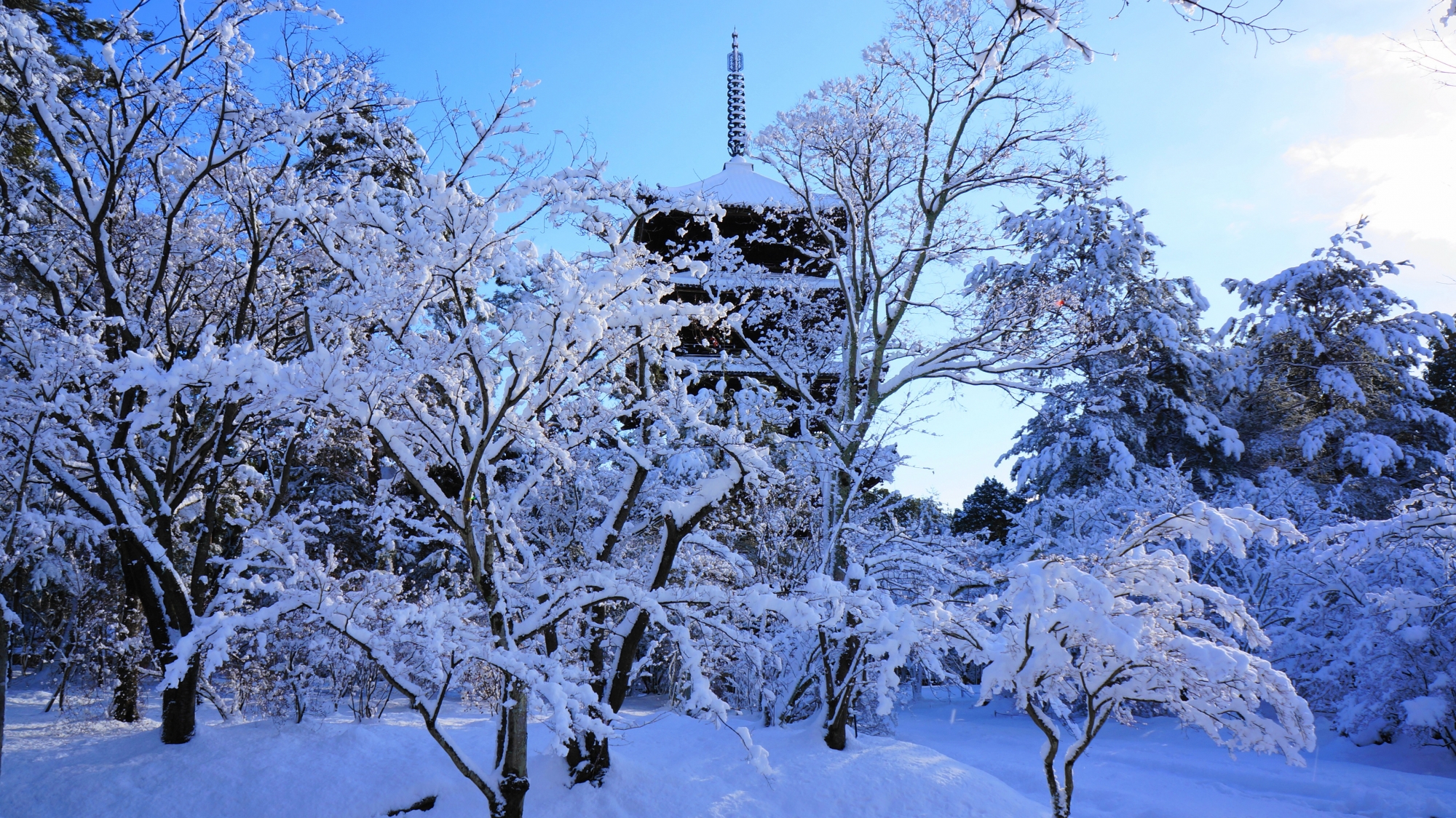 白銀の境内に佇む五重塔の見事な冬景色