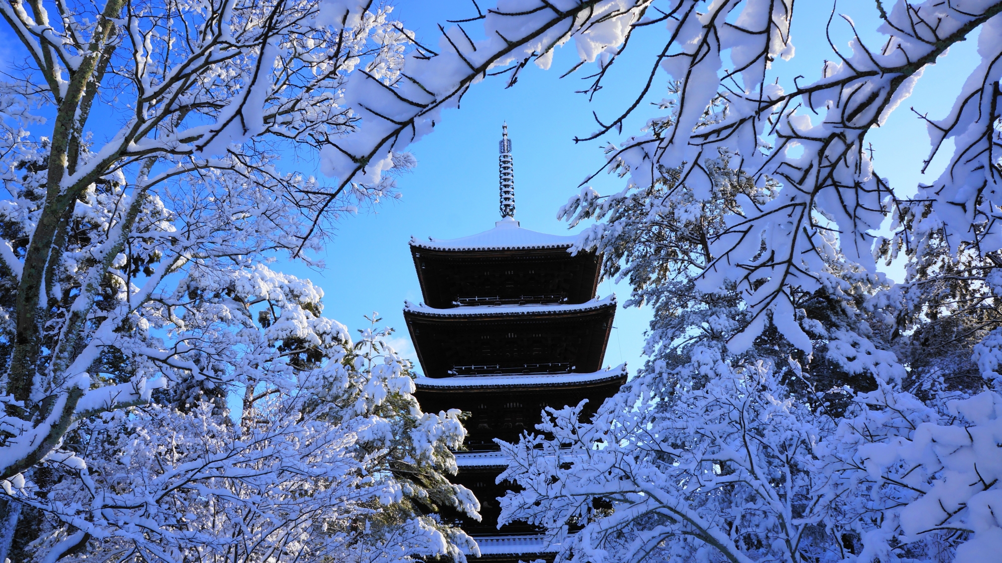 芸術的な雪の花につつまれた立派な五重塔