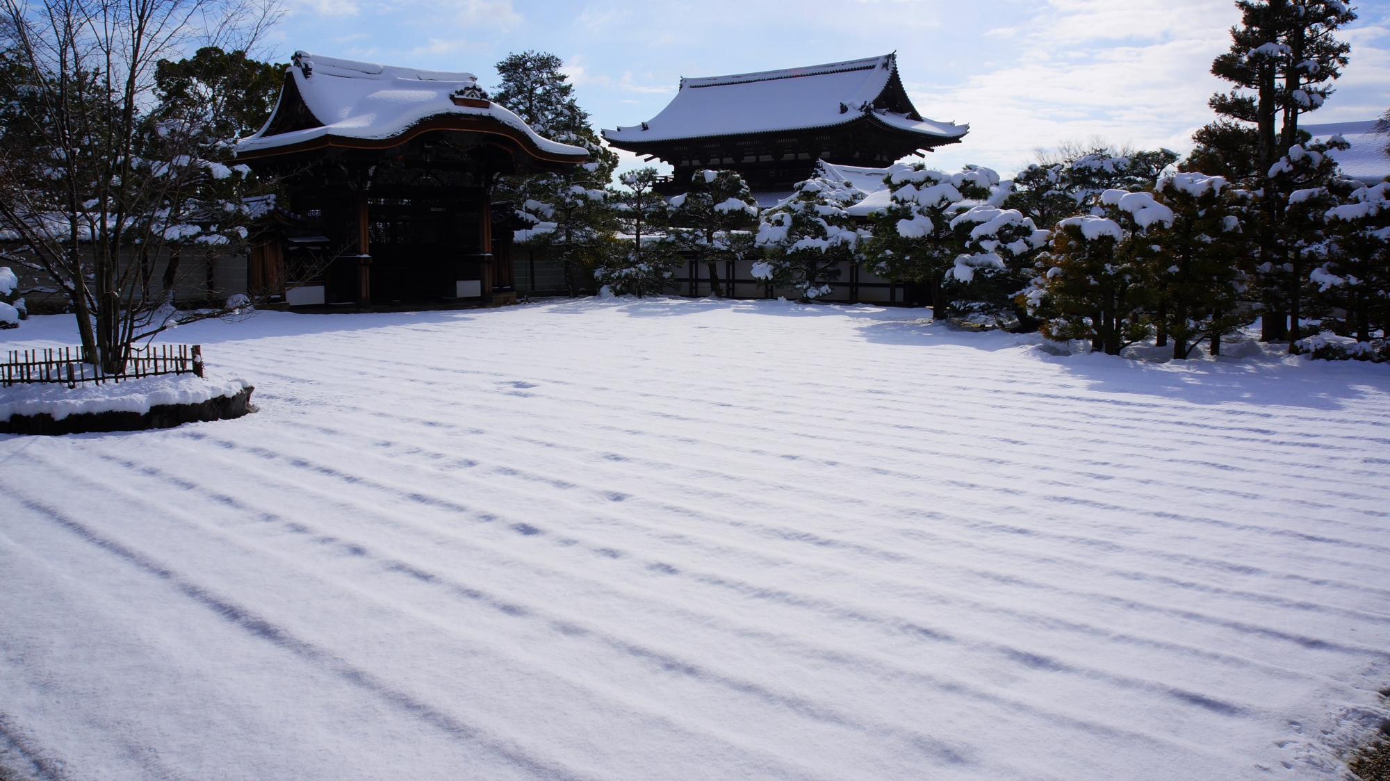 仁和寺の御殿南庭の冬景色