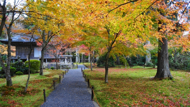 京都大原三千院門跡の有清園の紅葉