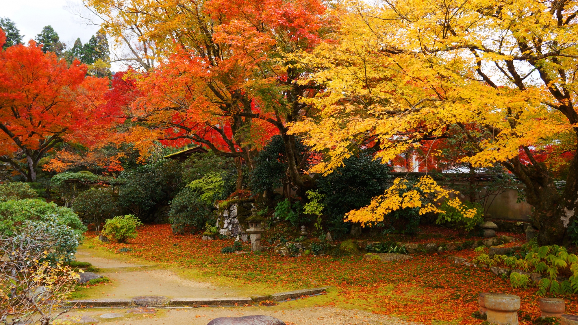 素晴らしい秋色につつまれた旧理覚院庭園