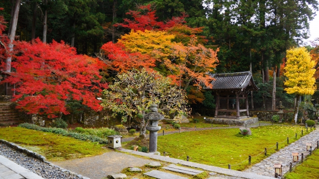 京都大原勝林院の鐘楼付近の紅葉
