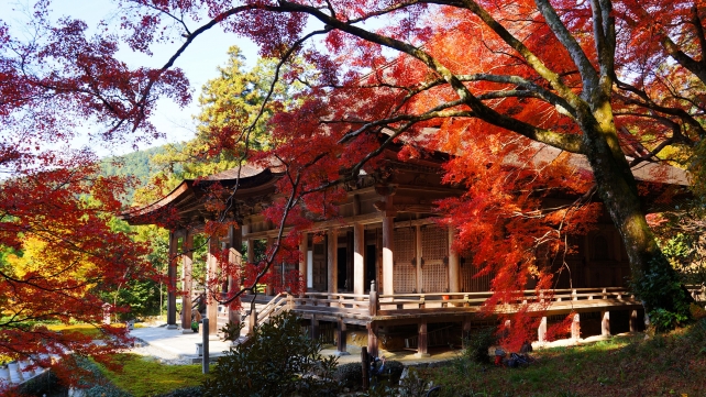 紅葉が見頃を迎えた京都大原勝林院の本堂