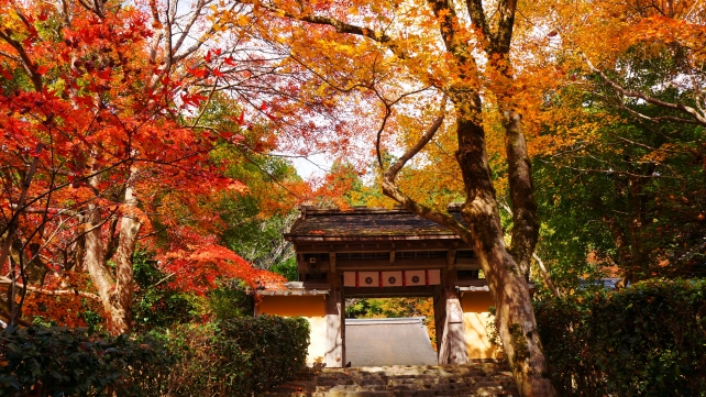 紅葉の京都大原寂光院の山門