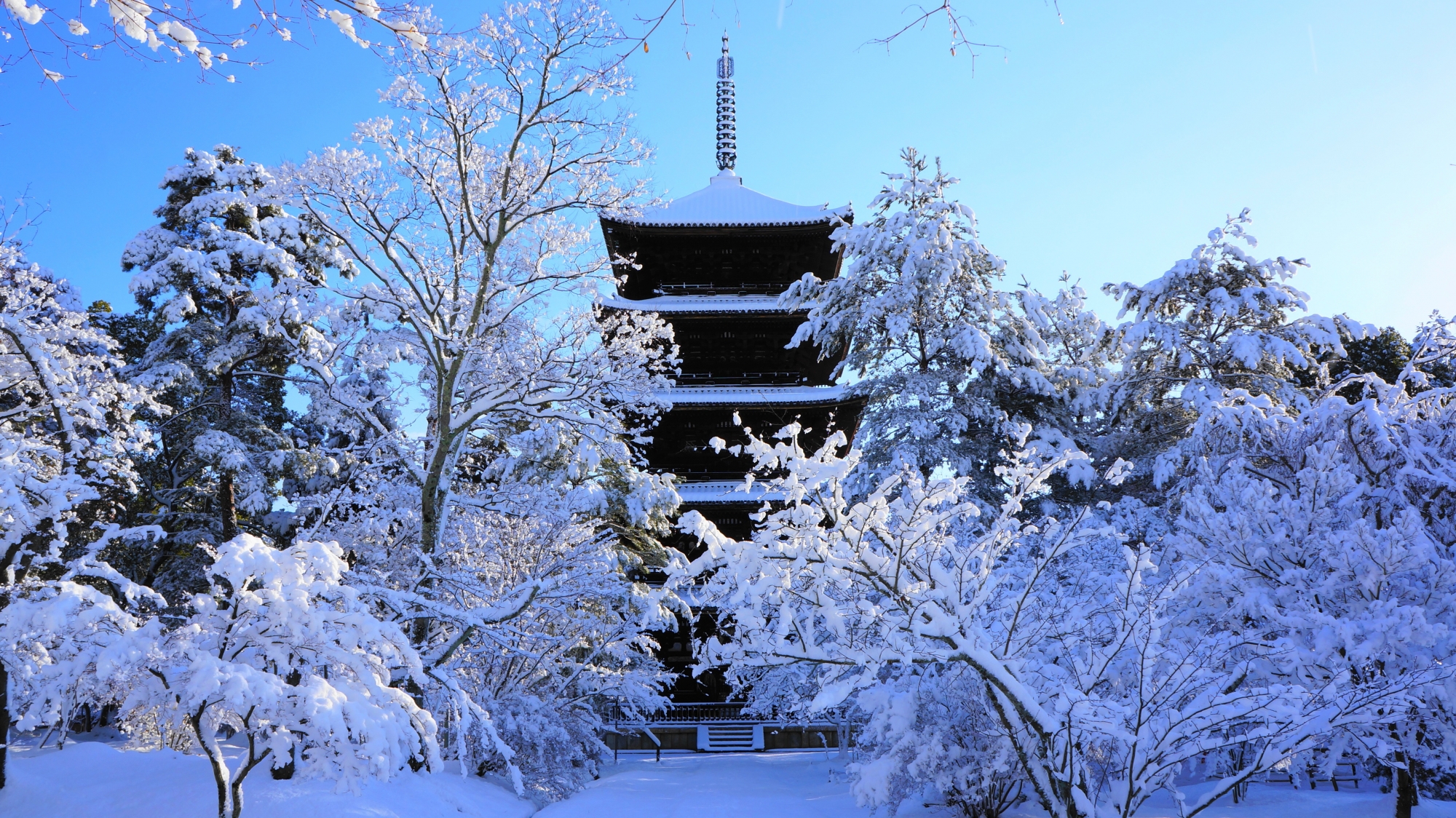 仁和寺 雪　白く輝く一面の雪景色