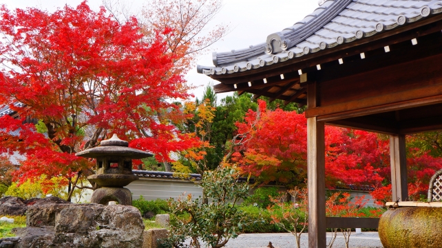 美しい紅葉につつまれた妙満寺の手水舎付近