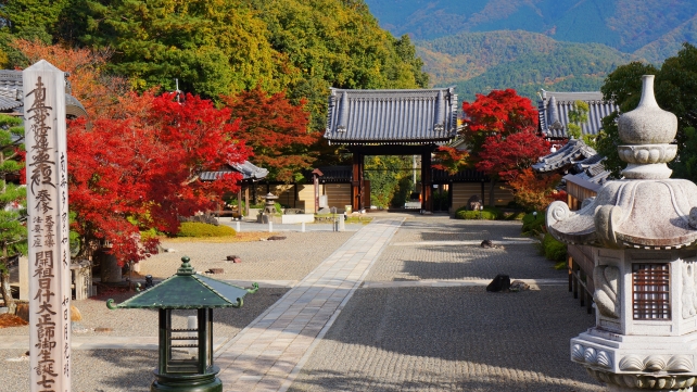 妙満寺の境内の見ごろの鮮やかな紅葉
