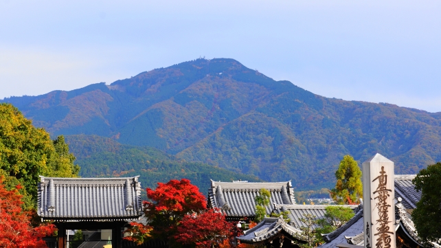 紅葉につつまれた妙満寺の境内と比叡山