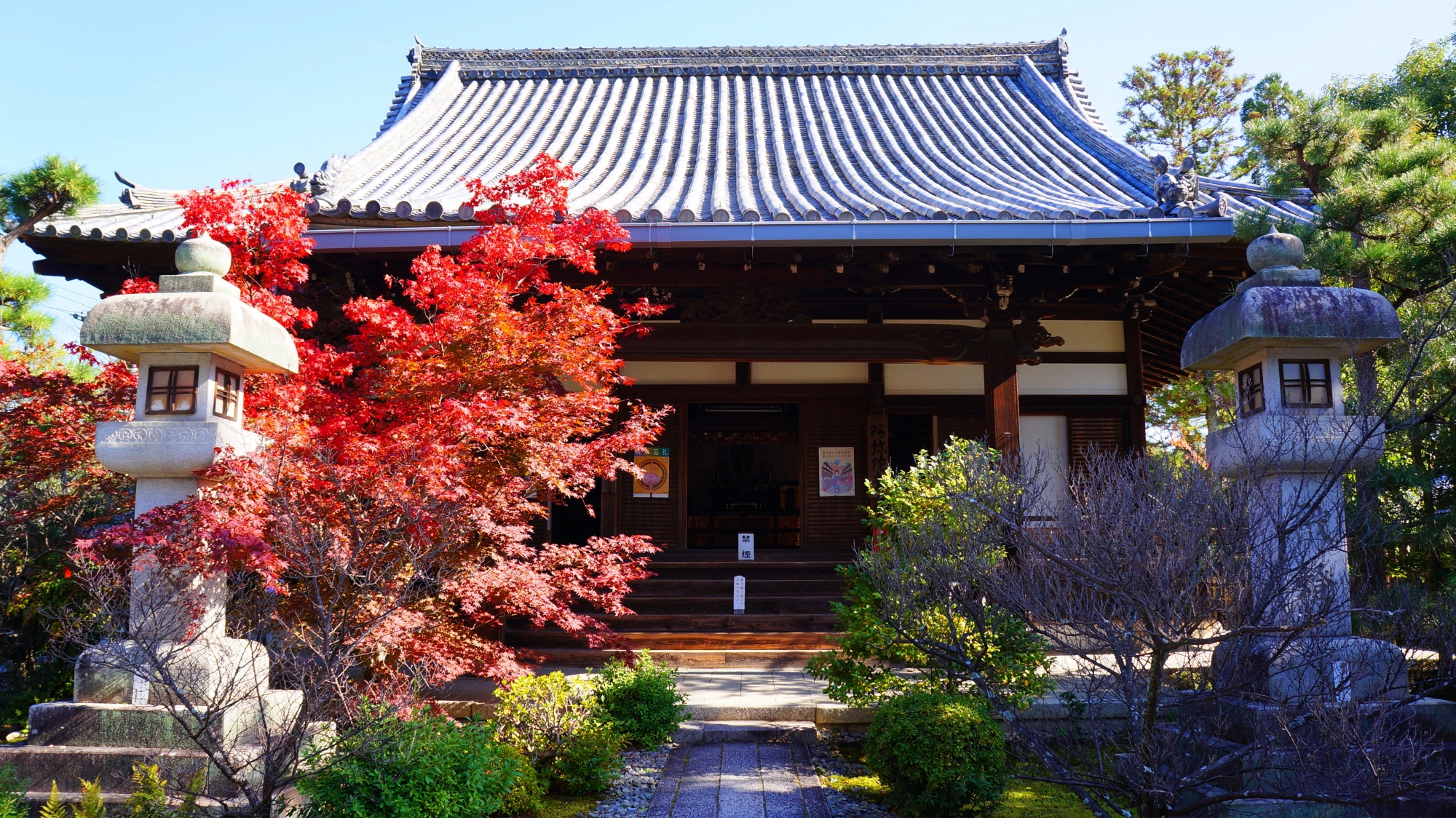 清涼寺の阿弥陀堂と紅葉