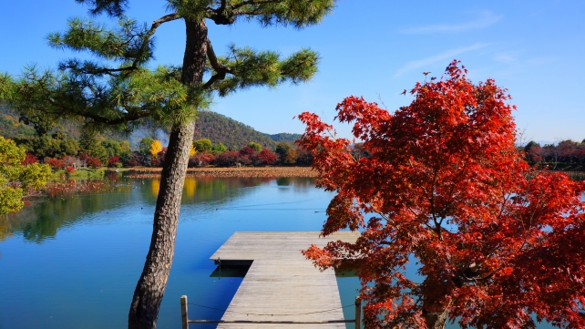 大覚寺五大堂から眺めた大沢池と見ごろの紅葉