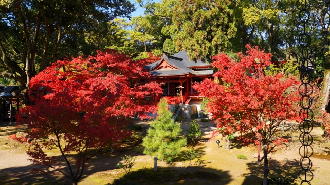 大覚寺の霊明殿と見ごろの鮮やかな紅葉